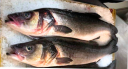 FISH MENU: PASTA AND FRESH FISH BAKED IN A SALT CRUST
